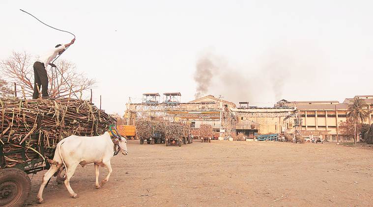 Low international sugar prices to hit India’s exports