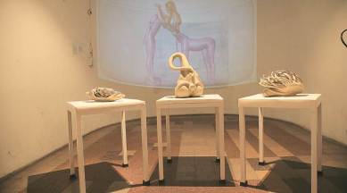 Pink Party ballet set, art and culture, indian express