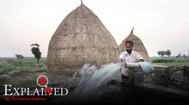 punjab tubewells, punjab water crisis, punjab farmers, punjab news, latest news