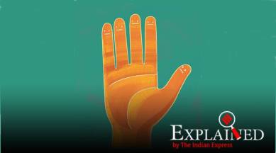 Uniform civil code, What is uniform civil code, uniform civil code explained, Hindu laws, Muslim personal law, civil code, Article 44, Goa, Goa uniform civil code, SC on uniform civil code,