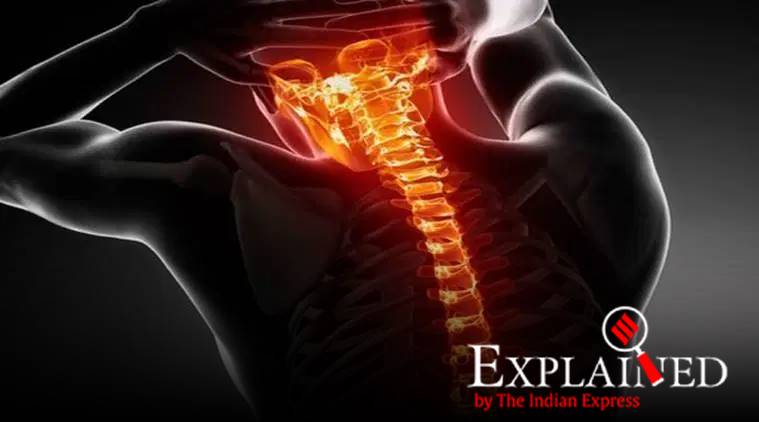 Yank, what is yank, yank in physics, force, Express Explained