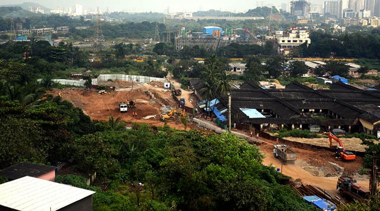 Aarey: SC stops felling of trees, State says have cut what’s needed