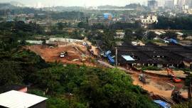 Aarey: SC stops felling of trees, State says have cut what’s needed