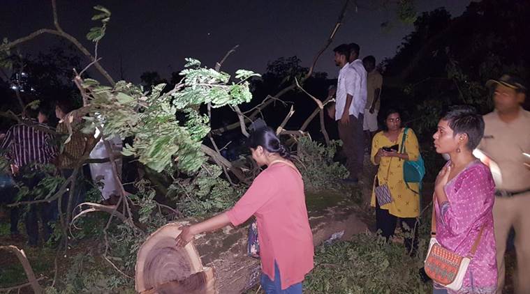 Image result for Protest Against Tree Cutting Continues In Mumbai