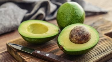 Guinness World Records, heaviest avocado, indianexpress.com, indianexpress, Pokini family, avocado harvest, world's heaviest avocado, pokini family, hawaii,