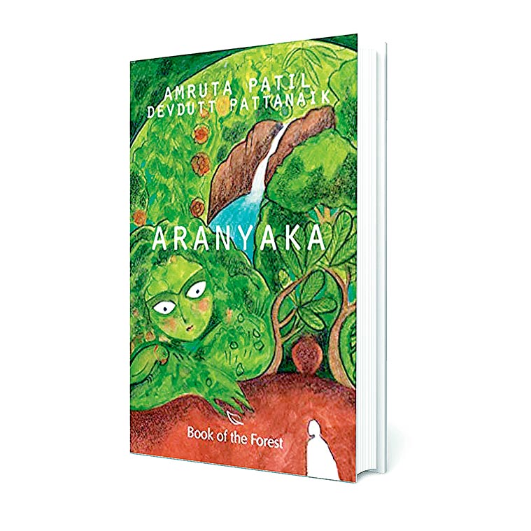 Amruta Patil, Jacket of Aranyaka, mythologist Devdutt Pattanaik, Upanishadic story, Katyayani, Katyayani, Sauptik: Blood and Flowers, Mahabharata sutradhars, Ganga and Ashwatthama, indian express news