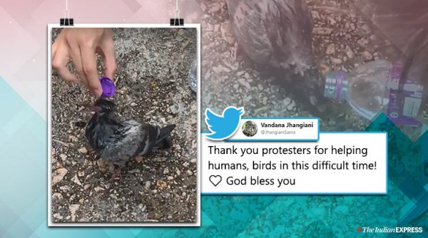 hong kong, hong kong protest, hong kong riot police, HK protest tear gas, protesters help bired tear gas, viral news