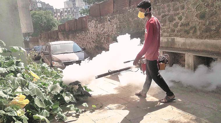 Pune, Pune news, Pune city news, dengue, platelet demand in pune, pune dengue cases