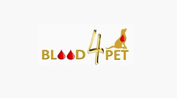 Pet dogs, Chennai, Blood4Pet