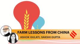 India China, India China agriculture, China India Agritculture deal, agriculture system in china, China AKIS system, express opinion, indian express news
