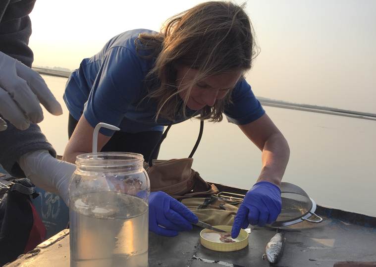 Heather Koldewey national geographic marine scientist