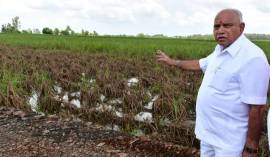 Karnataka-CM-Yediyurappa-flood-destruction-athani-agricultural-land