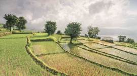 Maharashtra farnmers, Maharashtra Satellite imagery for farmers, artificial intelligence farm yields Maharashtra, Maharashtra farming