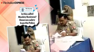 cop, monkey sitting on cop, ,money sitting on cop shoulder, viral video, monkey, trending, indian express, indian express news