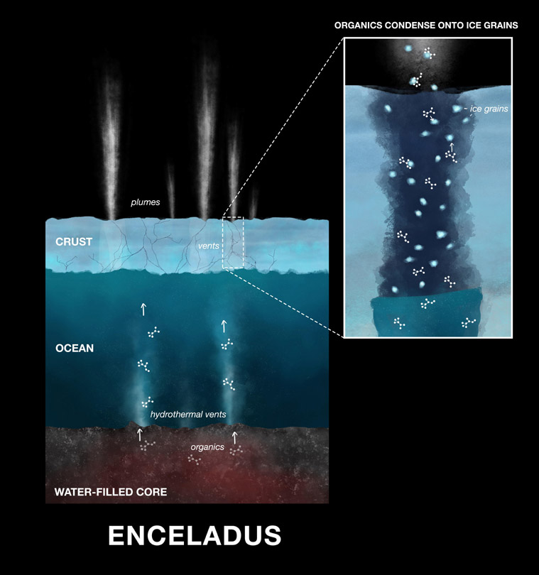 NASA, NASA Saturn Moon, Saturn Moon Organic Life, Saturn Moon Enceladus, Enceladus moon, Enceladus icy plumes