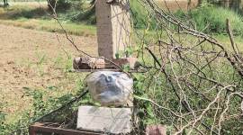 Delhi news, Delhi city news, Delhi power theft, Delhi najafgarh district power theft cases, indian express news