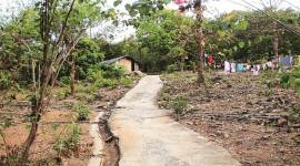 Hearing PIL, SC had ordered status quo on Aarey tree felling