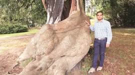 Mumbai news, Mumbai city news, Vaibhav Raje interview, Aarey protest, MMRCL Aarey shed, Mumbai metro Aarey, indian express news