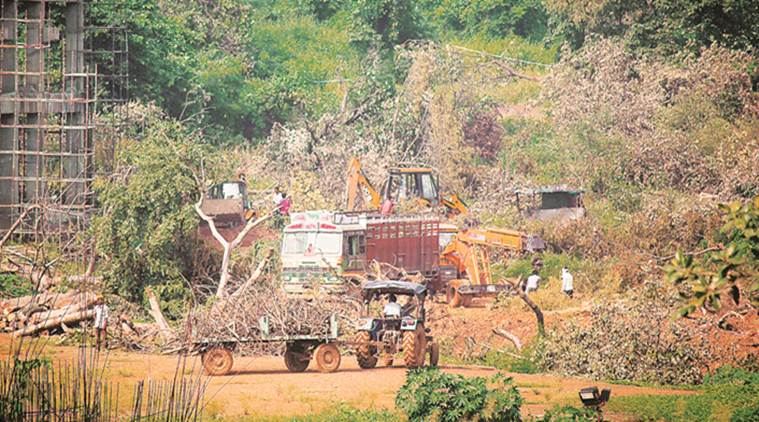 Mumbai Aarey forest, Aarey trees, Aarey news Mumbai, Mumbai metro Aarey trees, Aarey stay supreme court, indian express news