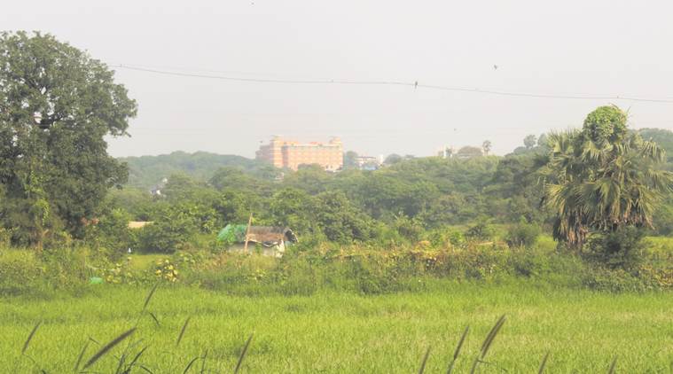 Aarey, Aarey Colony, Aarey protests, Aarey hearing, Aarey hearing Supreme Court, Aarey tree felling, Aarey tree felling protests, Supreme Court on Aarey protests, Supreme Court on Aarey tree felling, India news, Indian Express