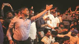 aarey forest trees, bmc trees felling aarey, mumbai metro trees felling, Mumbai aarey protest, aarey colony protest, aarey news, Aarey trees, Mumbai news, Indian Express news,