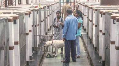 No medicine supplied to Noida animal hospital for a month, claim volunteers | Cities News,The Indian Express No medicine supplied to Noida animal hospital for a month, claim volunteers | Cities News,The Indian Express