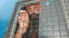 Balwant Singh Rajoana, Beant Singh assassination, supreme court, President Ram Nath Kovind, Punjab chief minister Beant Singh's assassination case,