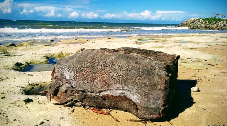 Mysterious crates washing up on Brazil's oil-stained beaches