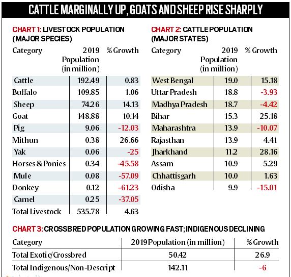 Explained Reading the livestock census Explained News The Indian