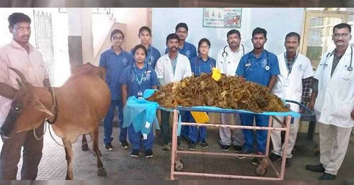 Image result for 52 Kgs of Plastic removed from Cow's stomach in TN