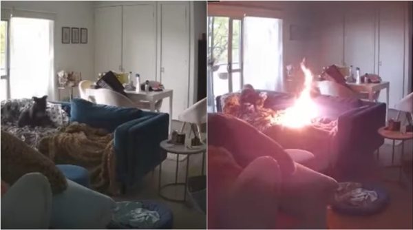 dog sets couch on fire, pet dog sets sofa fire, dog chew lighter fire, indian express, funny videos,