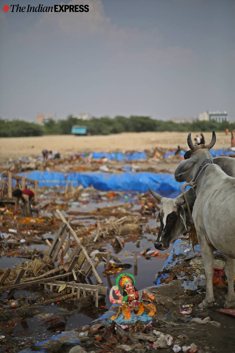 delhi idol immersion, delhi idol immersion artificial ponds, delhi artificial ponds, yamuna, delhi city news, delhi durga puja