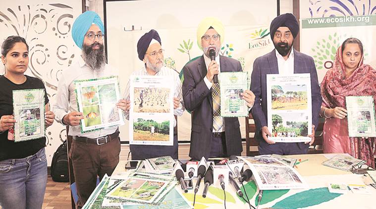 EcoSikh establishes 58 ‘sacred forests’ to mark Guru Nanak’s 550th birth anniversary