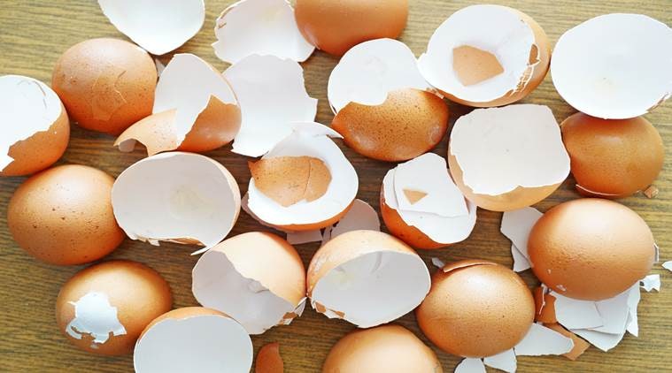 want-to-know-if-you-can-eat-eggshells-find-out-here-health-news