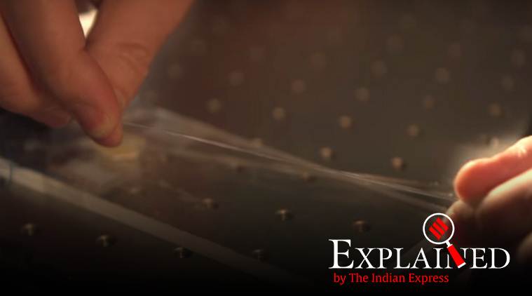 Elastocaloric effect, elasticity, Elastic fiber, elasticity effect, Express Explained, Indian Express