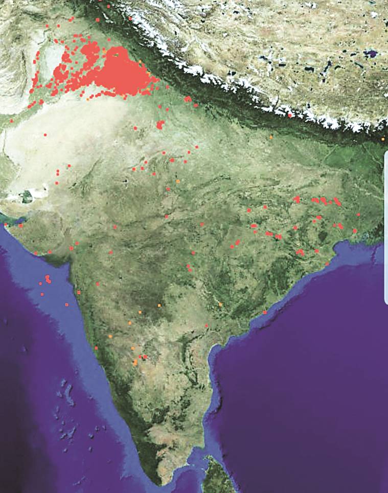 As Delhi Gasped For Air, Punjab Saw 3,105 Farm Fires In One Day | India ...