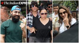 maharashtra elections, Maharashtra Assembly Election 2019, Maharashtra Assembly Elections, aamir khan, Shah Rukh Khan, gauri khan, madhuri dixit, varun dhawan, preity zinta gulzar, vivek oberoi, prem chopra