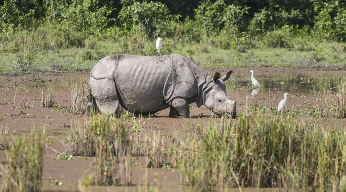 Weather forecast today LIVE Updates: As monsoon withdraws, southern peninsula to receive rainfall