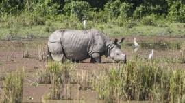 Weather forecast today LIVE Updates: As monsoon withdraws, southern peninsula to receive rainfall