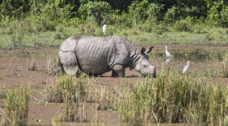Weather forecast today LIVE Updates: As monsoon withdraws, southern peninsula to receive rainfall