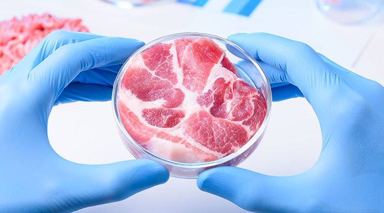 Scientists create first ever lab meat in space | Technology News - The ...