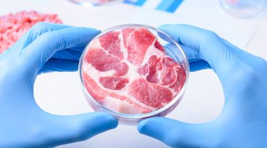 meat in space, space beef, beef in space, beef in international space station, beef in iss, Aleph Farms, Aleph Farms space beef, beef made with 3D bioprinter, meat developed by help of 3D Bioprinting Solutions