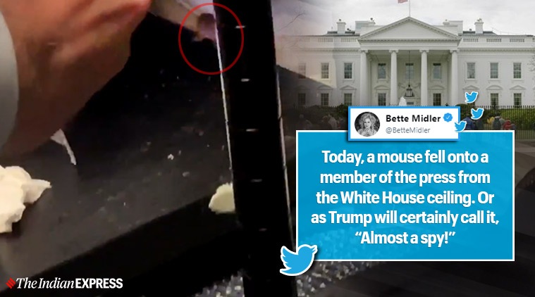 white house, mouse in white house, WH press room mouse chase, rat in white house video, funny news, odd news, world news, indian express