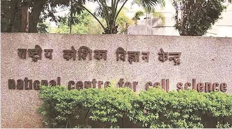 National Centre For Cell Science open day, 5th India International Science Festival, Pune news, indian express, NCCS Pune