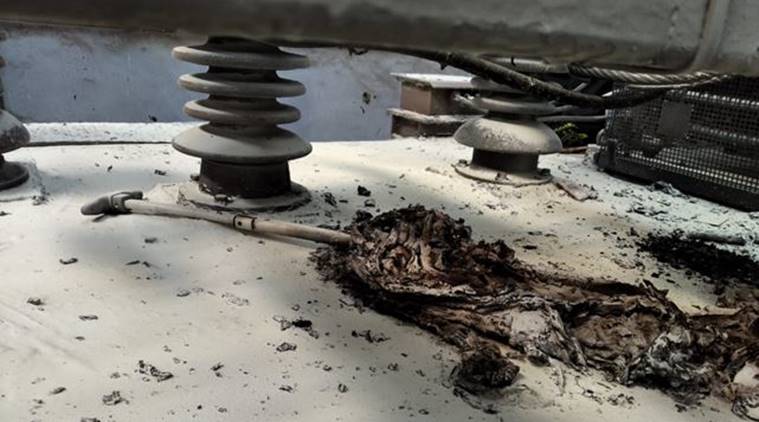 Mumbai local train pantograph catches fire, Mumbai local trains, Mumbai local train services disrupted, harbour line services late, Mumbai news