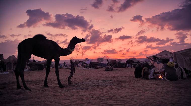 Diwali, Diwali 2019, Diwali pollution, weekend getaway, Express Wanderlust, Indian Express, Indian Express news