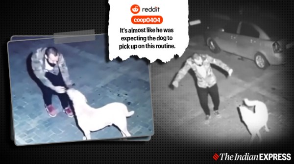 drunk man dancing with dog viral video, drunk man, drunk man viral video, cute dog, cute dog viral video, trending, indian express, indian express news