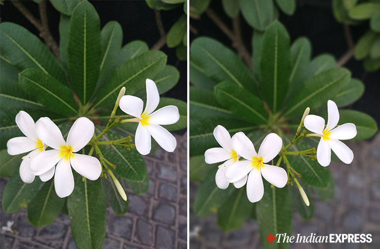 moto g8 plus, moto g8 plus specifications, moto g8 plus features, moto g8 plus first impressions, moto g8 plus performance