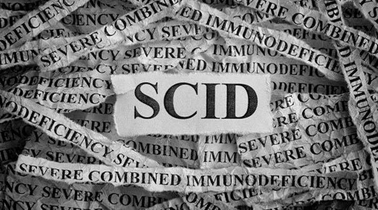 treatment for scid