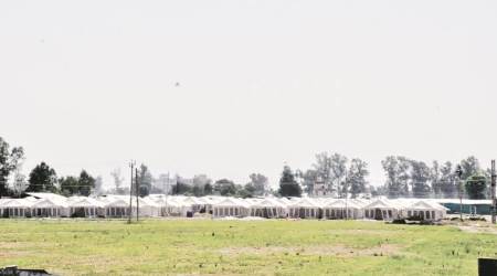 550th Birth Anniversary of Guru Nanak: Only SGPC to set up main stage for holy event, says Akal Takht